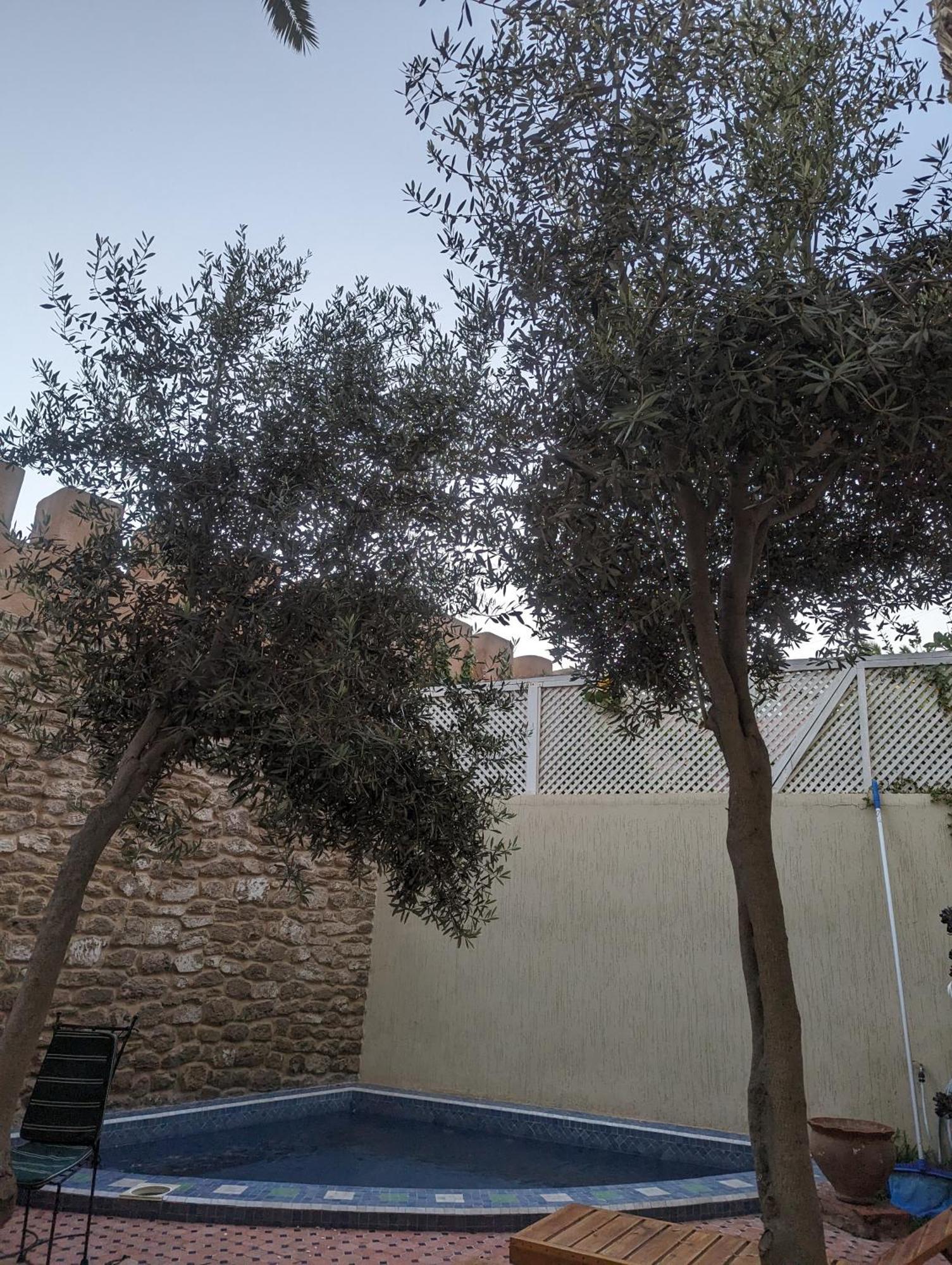 Aghata Palms Riad Essaouira Eksteriør bilde