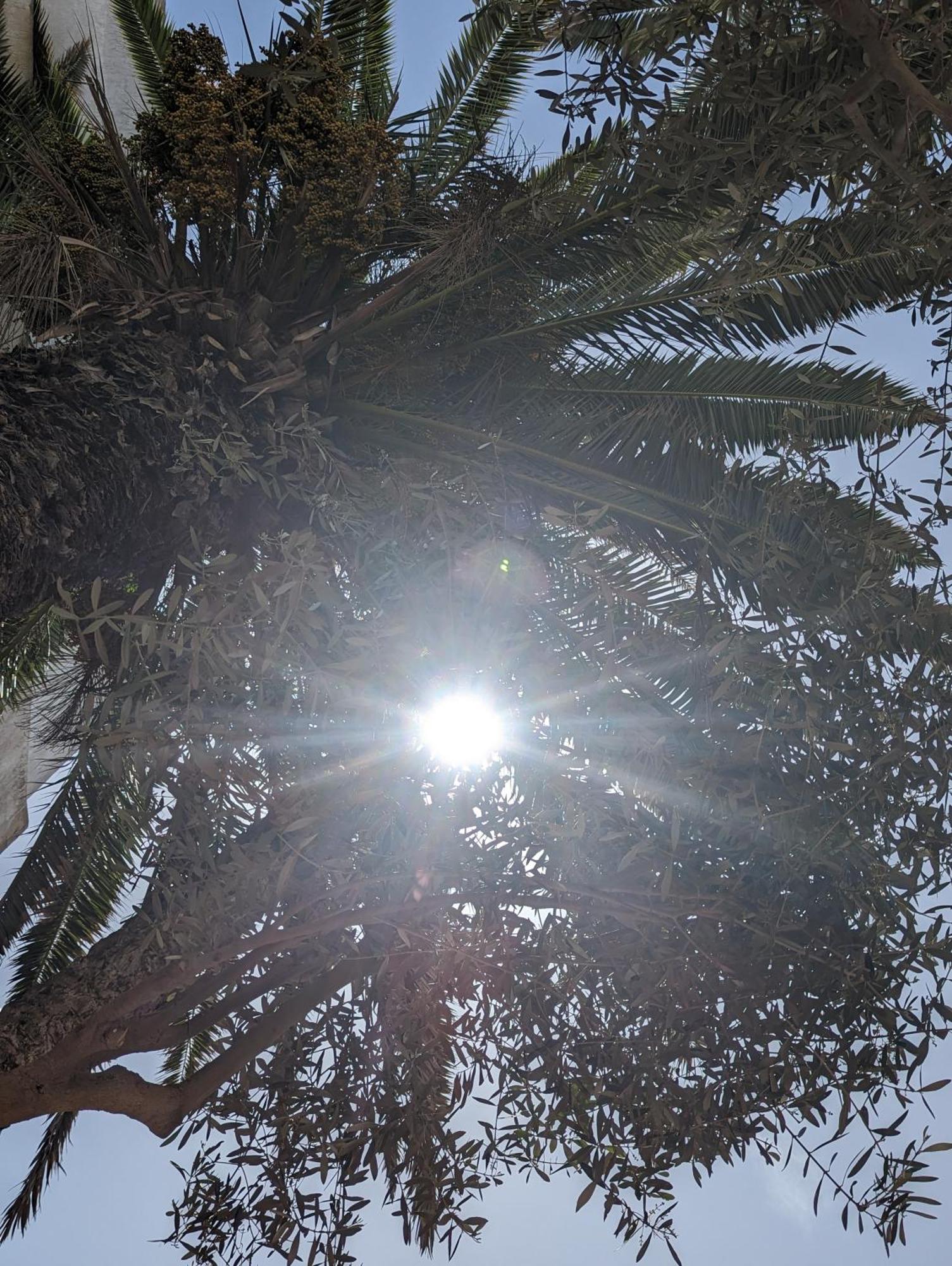 Aghata Palms Riad Essaouira Eksteriør bilde